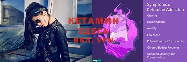 гидра Абаза
