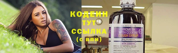 гидра Абаза