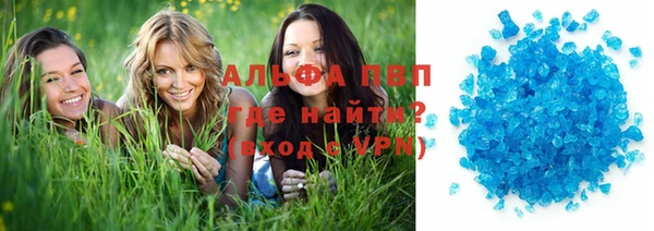 гидра Иноземцево