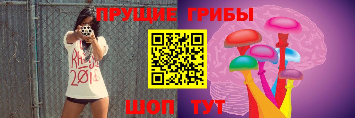 Псилоцибиновые грибы GOLDEN TEACHER Азов