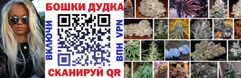 Конопля SATIVA & INDICA  где купить наркоту  Азов 