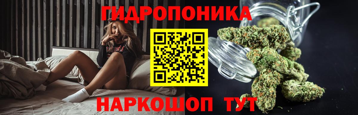 Каннабис Amnesia  Каннабис Bruce Banner  Азов  Бошки марихуана планчик  Бошки Шишки марихуана  Вход с VPN 